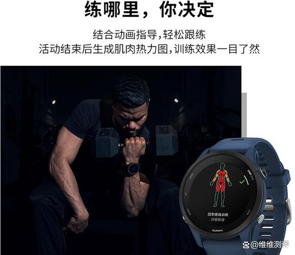 智能手表选购指南 顶尖品牌与产品深度解析